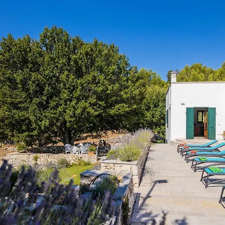 Vila Beatrice A Place Of Peace In Nature *